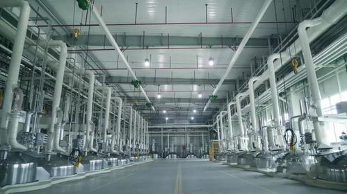 中控技術(shù)賦能三棵樹四川生態(tài)工業(yè)園 匯聚MES力量的智能工廠實(shí)踐