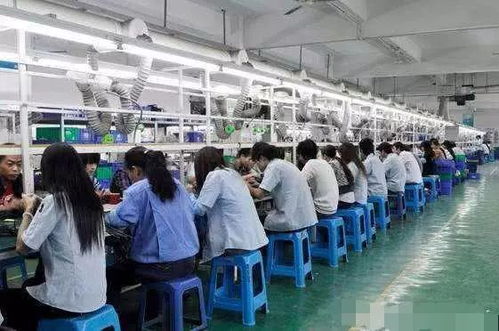 無學(xué)歷無技術(shù)背景下的職業(yè)新選擇 技術(shù)推廣崗位的可行性分析