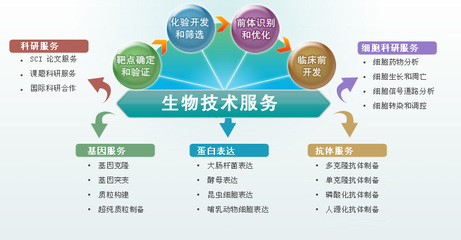 技術研發(fā)服務與技術推廣 創(chuàng)新價值鏈的雙驅動